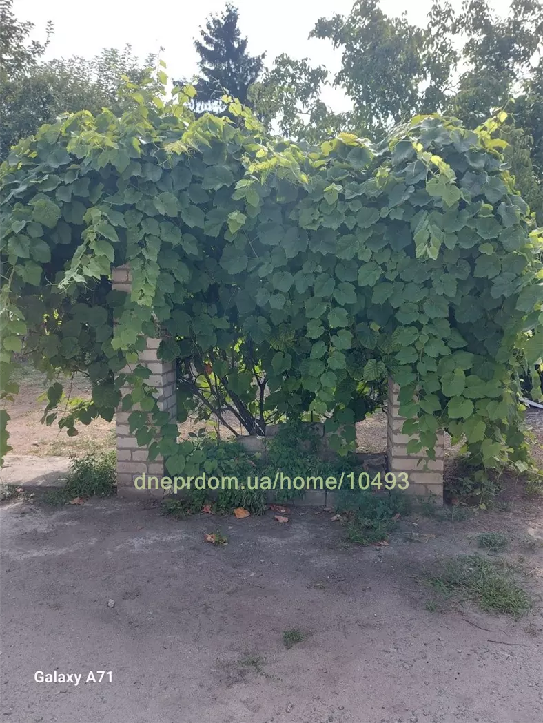 Продам 3-к дом, 105 м², 50000 $ вулиця Вітчизняна, Амур-Нижньодніпровський район. Фото №20