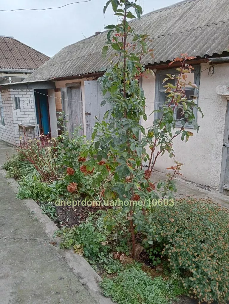 Продам 4-к дом, 76 м², 65000 $ вулиця Інгульська, Амур-Нижньодніпровський район. Фото №25