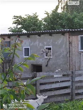 Продам 2-к будинок, 60 м², 2 поверхи, 30000 $, Обуховка, Днепропетровский район. Фото №4