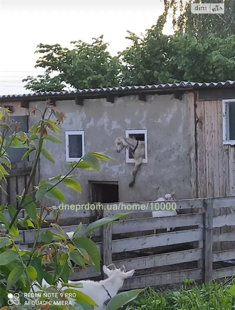 Продам 2-к дом, 60 м², 2 этажа, 30000 $ Обуховка, Днепропетровский район. Фото №4
