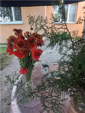 Продам 5-к дом, 100 м², 2 этажа, 79000 $, улица Сергея Кульчицкого. Фото №2