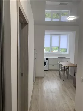 Сдам 1к квартиру 42 м², 13000 грн./мес., улица Николая Ризоля, Соборный район. Фото №4